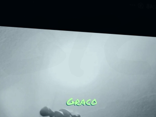 Graco