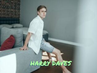 HARRY_DAVES Gothicorgien