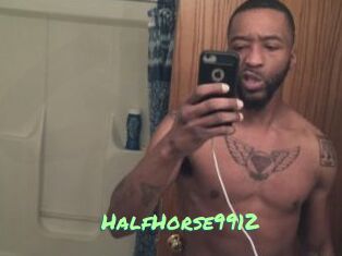 HalfHorse9912