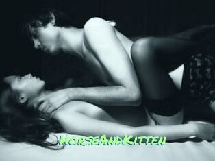 HorseAndKitten
