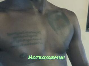 Hotboygemini