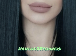 Haikuhi28schwerd