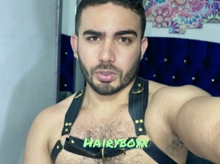 Hairyboyx