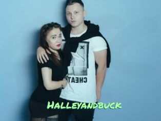 Halleyandbuck