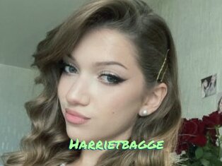 Harrietbagge