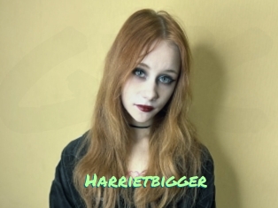 Harrietbigger