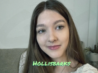 Hollisbarks