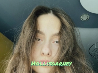 Hollisgarney