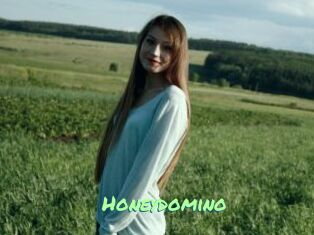 Honeydomino