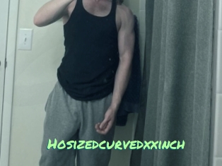 hosizedcurvedxxinch Gothicorgien