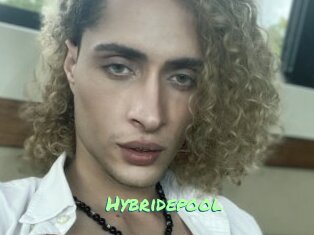 Hybridepool