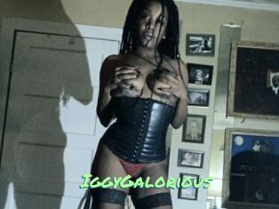 IggyGalorious