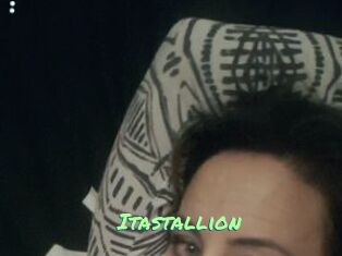 Itastallion