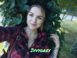 Ivvygrey