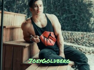 JoeyGoldberg