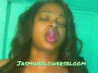 Jasmineflowersbloom