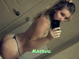 Kaebug