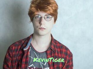 KevinTiger