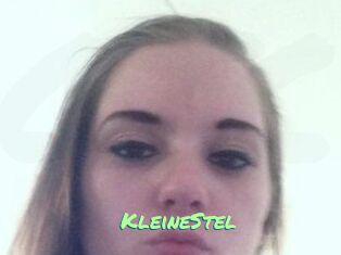 KleineStel