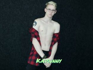 Kaisunny