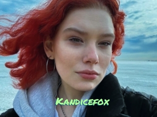 Kandicefox
