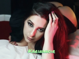 Karinanoir