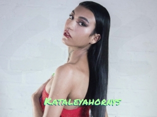 Kataleyahornys