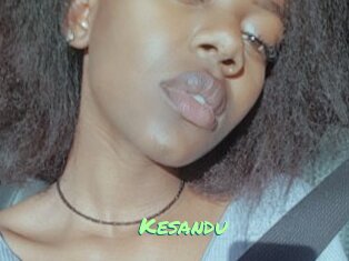 Kesandu