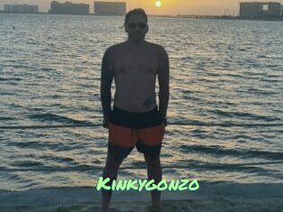 Kinkygonzo