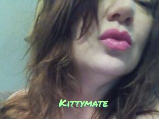 Kittymate