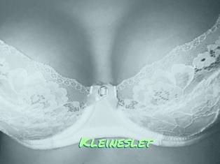 Kleineslet