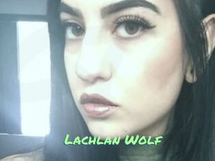 Lachlan_Wolf
