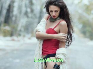 LediAmina