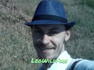 LeoWildFire