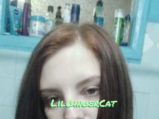 LilGingerCat