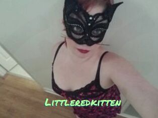 Littleredkitten