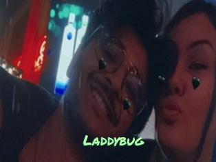 Laddybug