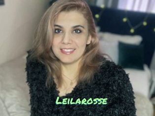 Leilarosse