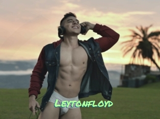 leytonfloyd Gothicorgien