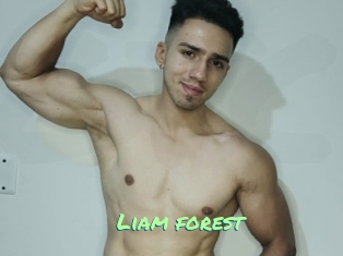 Liam_forest