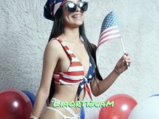 Liaortizcam