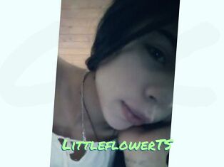 LittleflowerTS