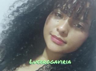 Lucerogaviria