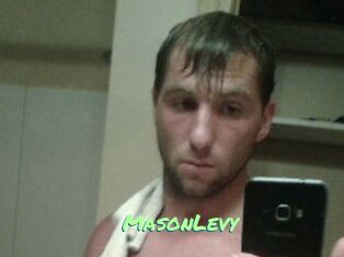 Mason_Levy