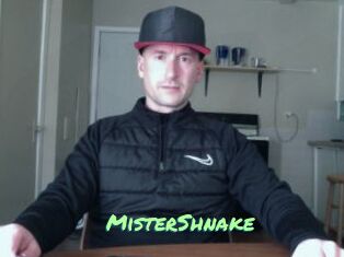 MisterShnake
