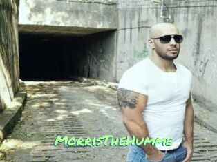 MorrisTheHumme