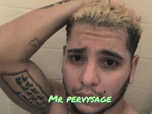 Mr_pervysage
