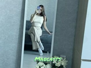 Maecatts