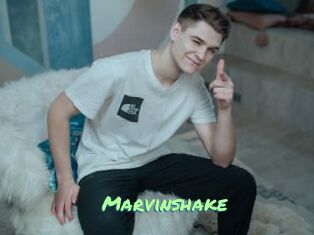 Marvinshake