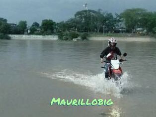 Maurillobig